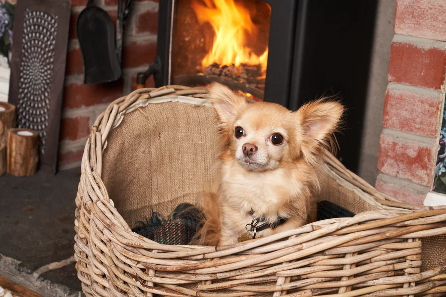 Wicker Pet Baskets