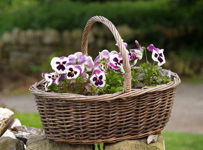 Can You Leave Wicker Baskets Outside?