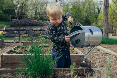 How To Make Your Garden More Sustainable