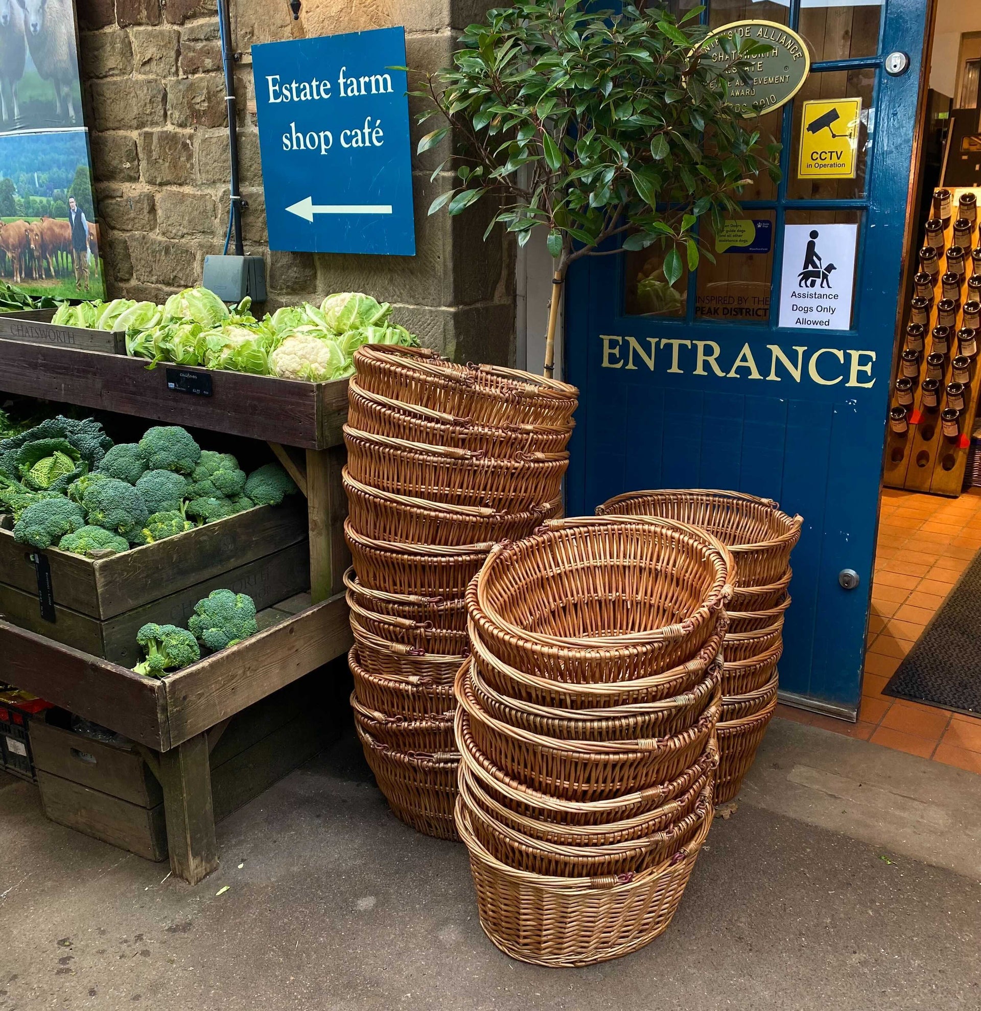 Wicker Store Shopping Baskets Order Online Northern Willow