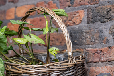 Baskets For the Garden