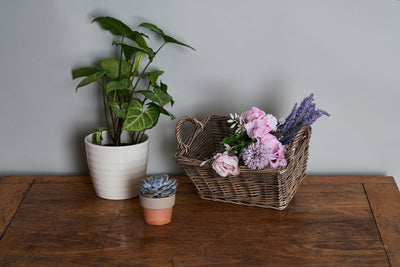 Antique Wash Handled Storage Solution Feature on Table