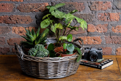 Round Antique Wash Display Tray