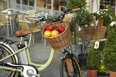 Small Bicycle Basket Example